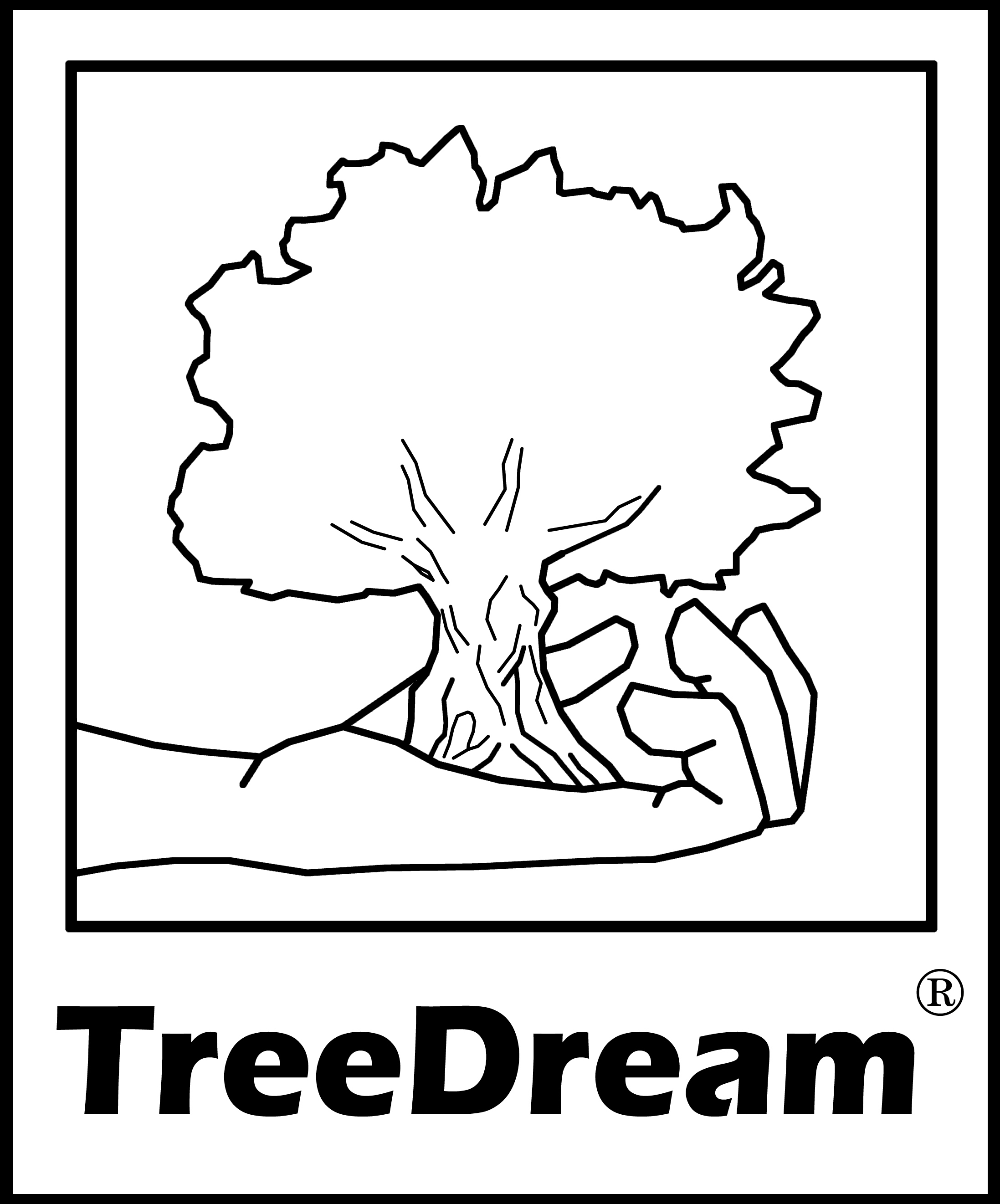 TreeDream